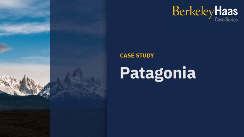 Patagonia: Driving Sustainable Innovation by Embracing Tensions