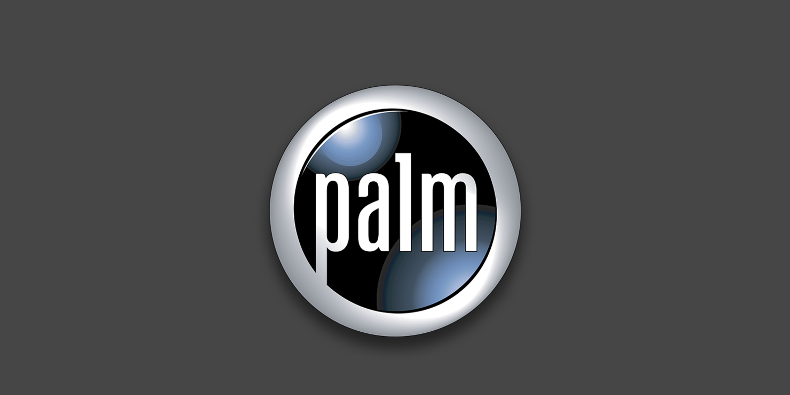 Palm Computing in 1994