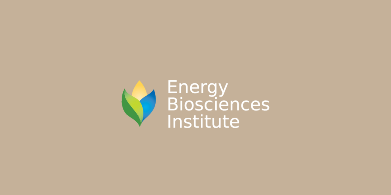 The Energy Biosciences Institute: A Novel Partnership or a Sellout?