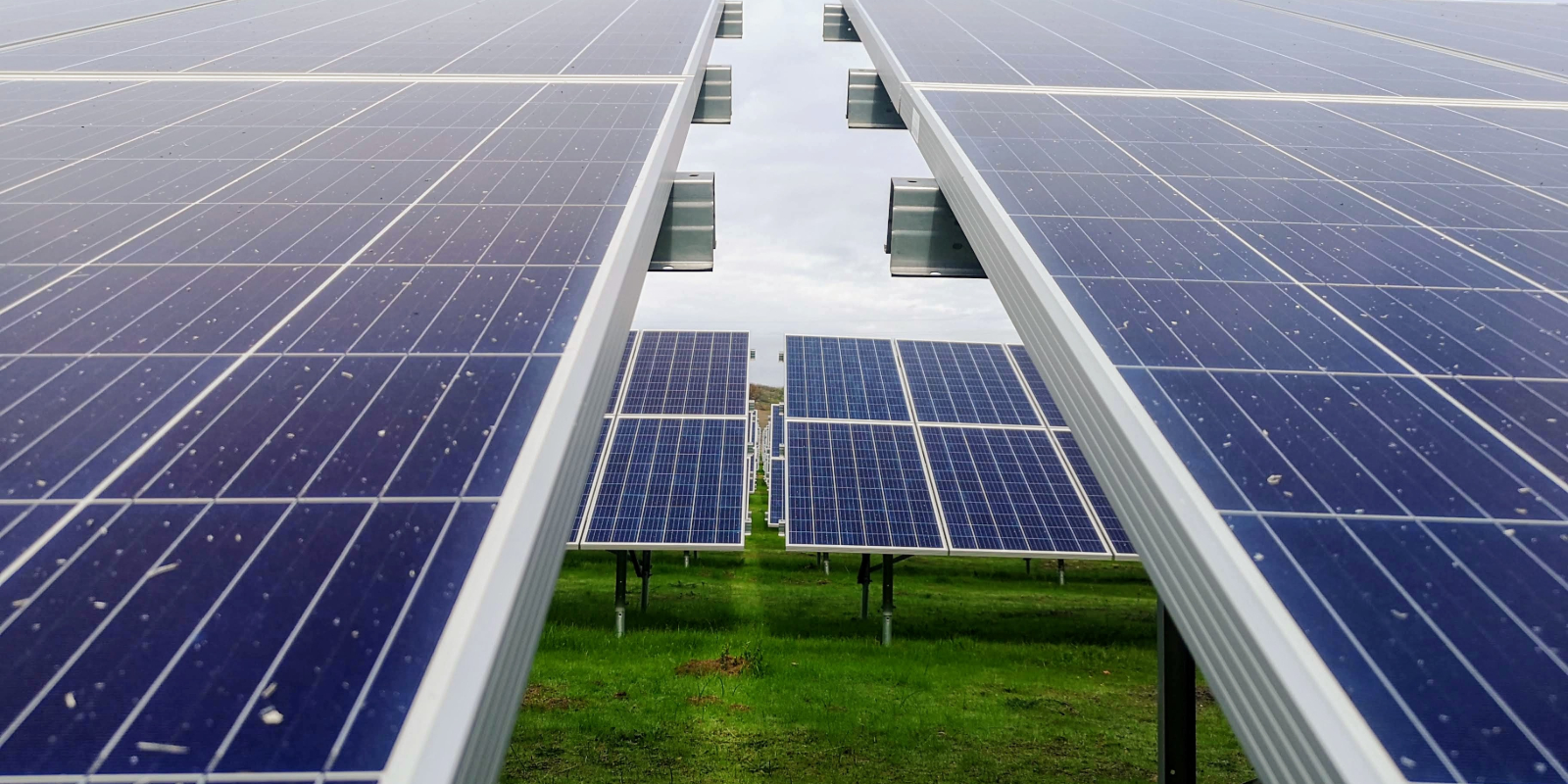 Han Solar and the Green Supply Chain
