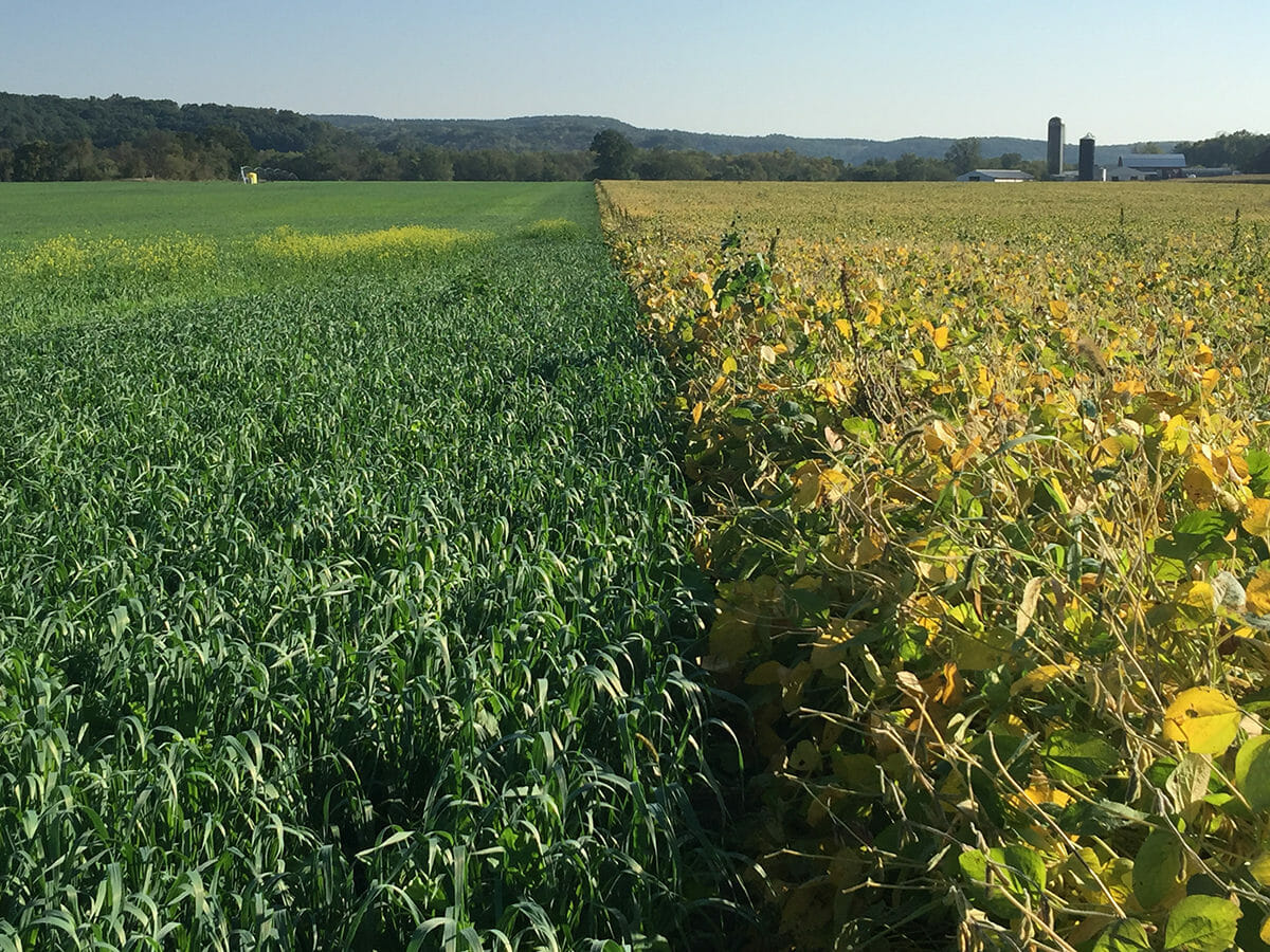 General Mills: Driving Food Systems Change through Regenerative Agriculture
