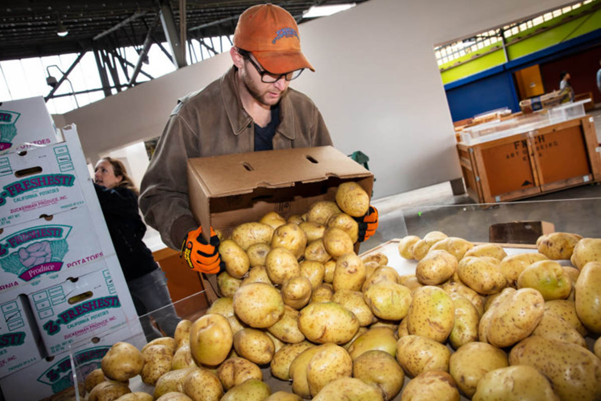 Food Forward: How Volunteer Teams Move Surplus Produce from Tree to Table