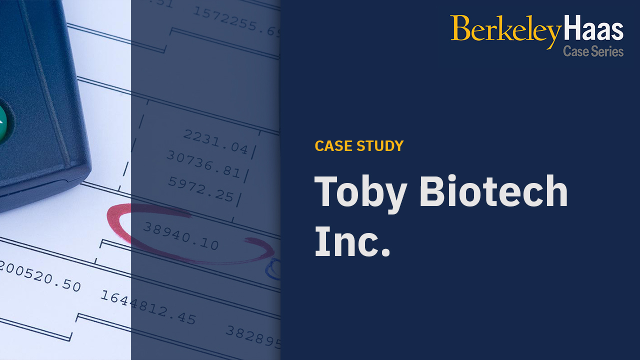 Accounting and Auditing at Toby Biotech Inc.